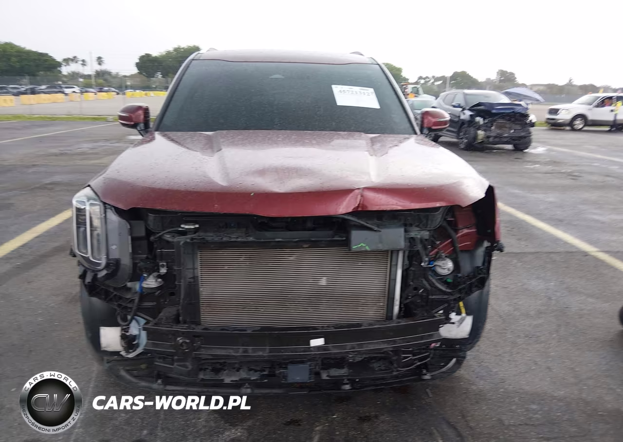 2023 Kia Telluride Sx VIN:5XYP5DGC5PG395434 - 6