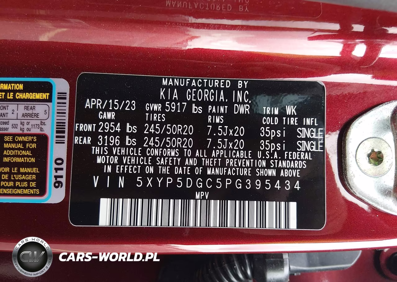 2023 Kia Telluride Sx VIN:5XYP5DGC5PG395434 - 9