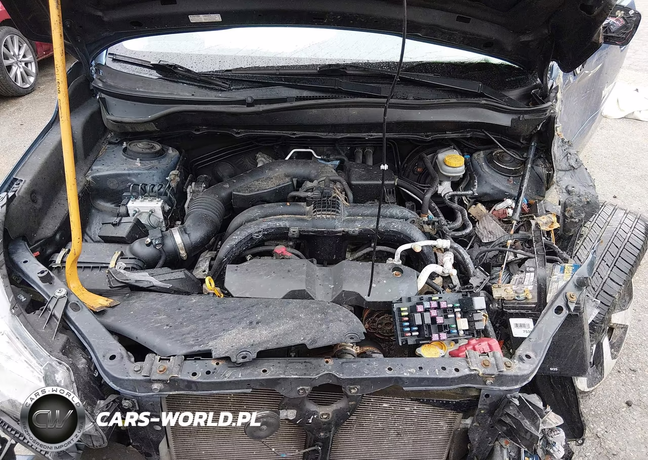 2017 Subaru Forester 2.5I Limited VIN:JF2SJAJC6HH476675 - 10