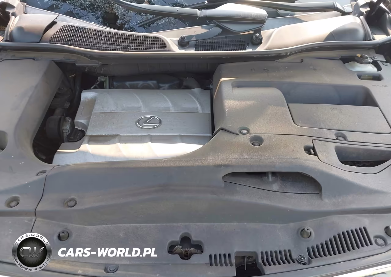 2015 Lexus Rx 350 VIN:JTJBK1BA4F2476499 - 10