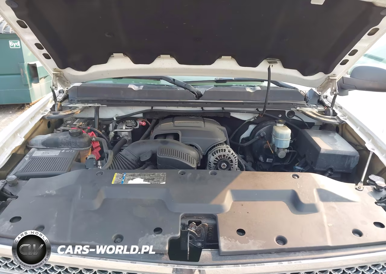 2010 Chevrolet Silverado 1500 Lt VIN:3GCRKSEA0AG197411 - 10