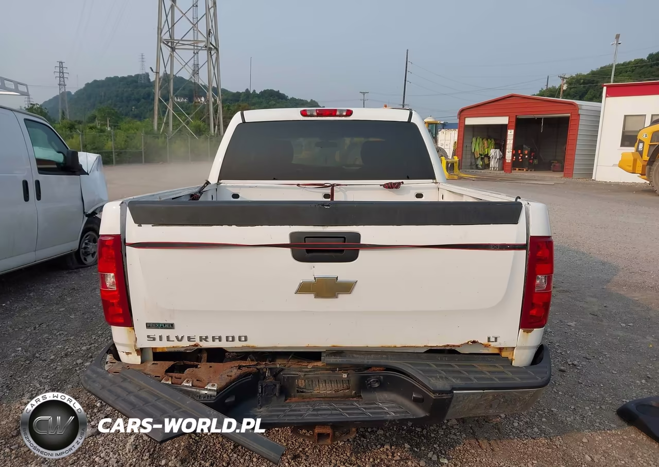 2010 Chevrolet Silverado 1500 Lt VIN:3GCRKSEA0AG197411 - 17