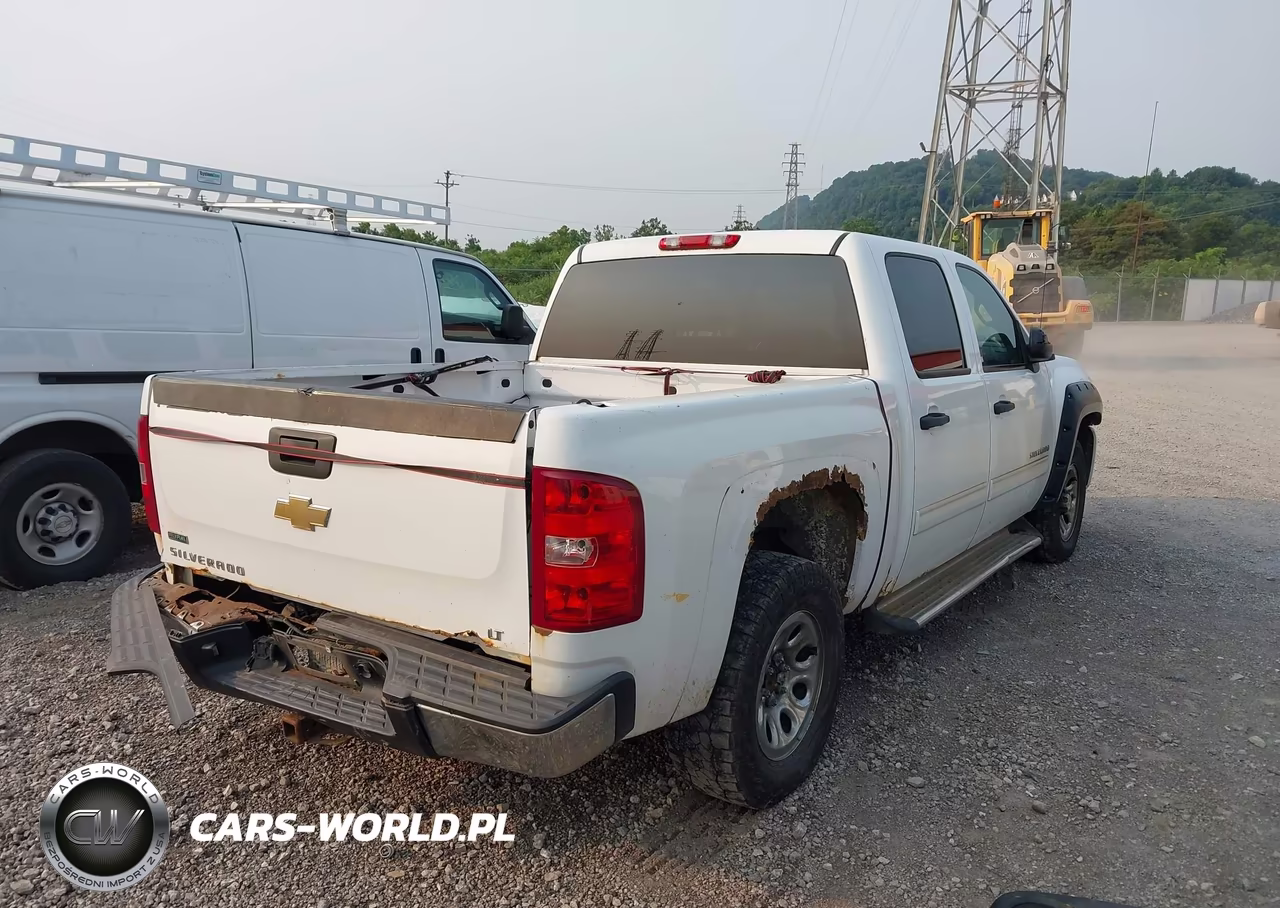 2010 Chevrolet Silverado 1500 Lt VIN:3GCRKSEA0AG197411 - 4