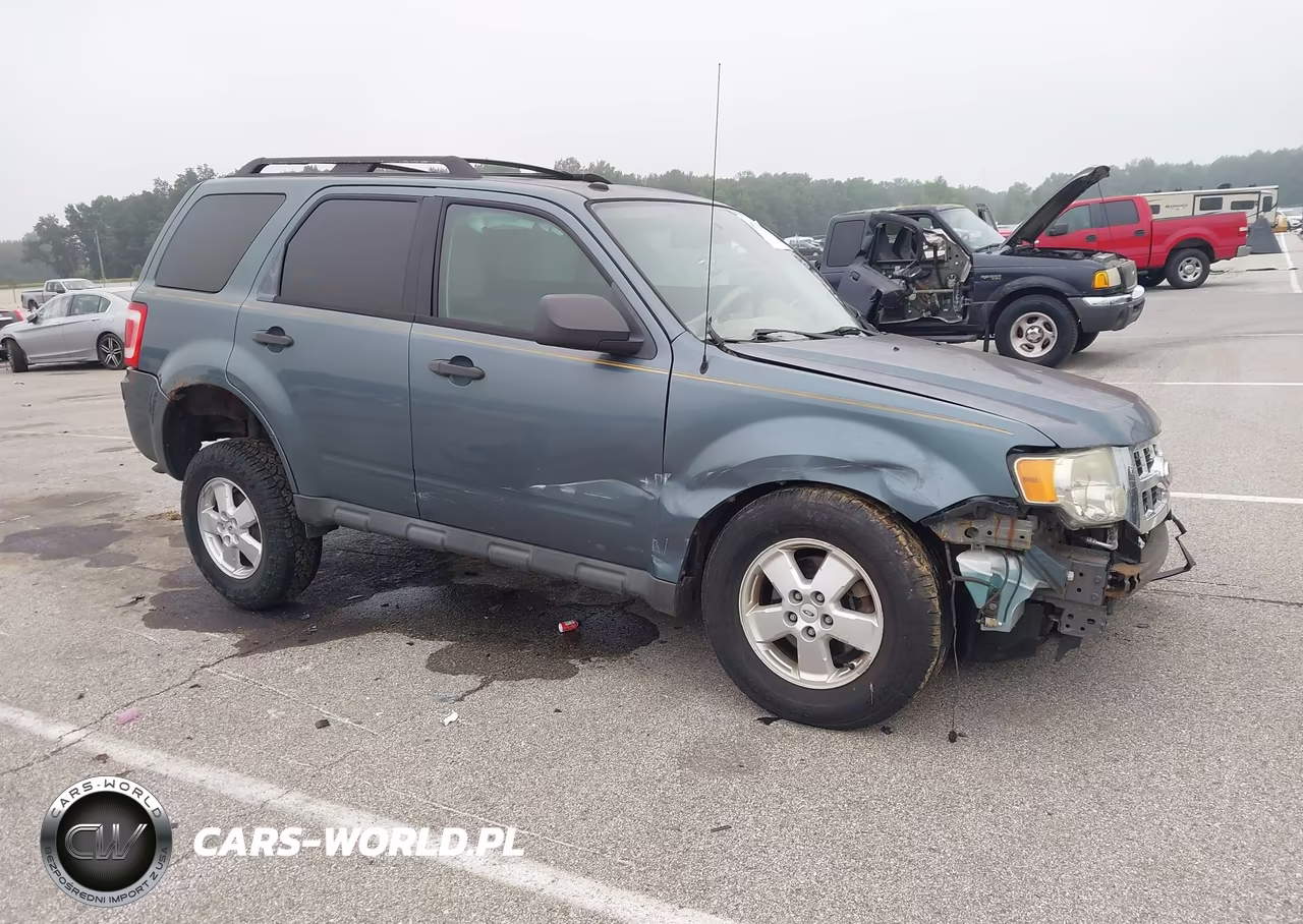 2011 Ford Escape Xlt