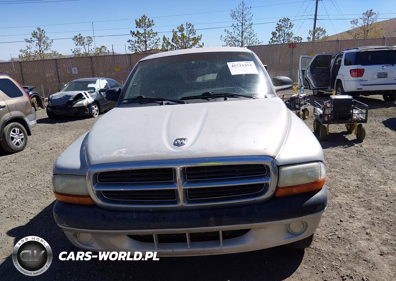 2000 Dodge Dakota Slt-Sport VIN:1B7GG22X7YS687204 - 13