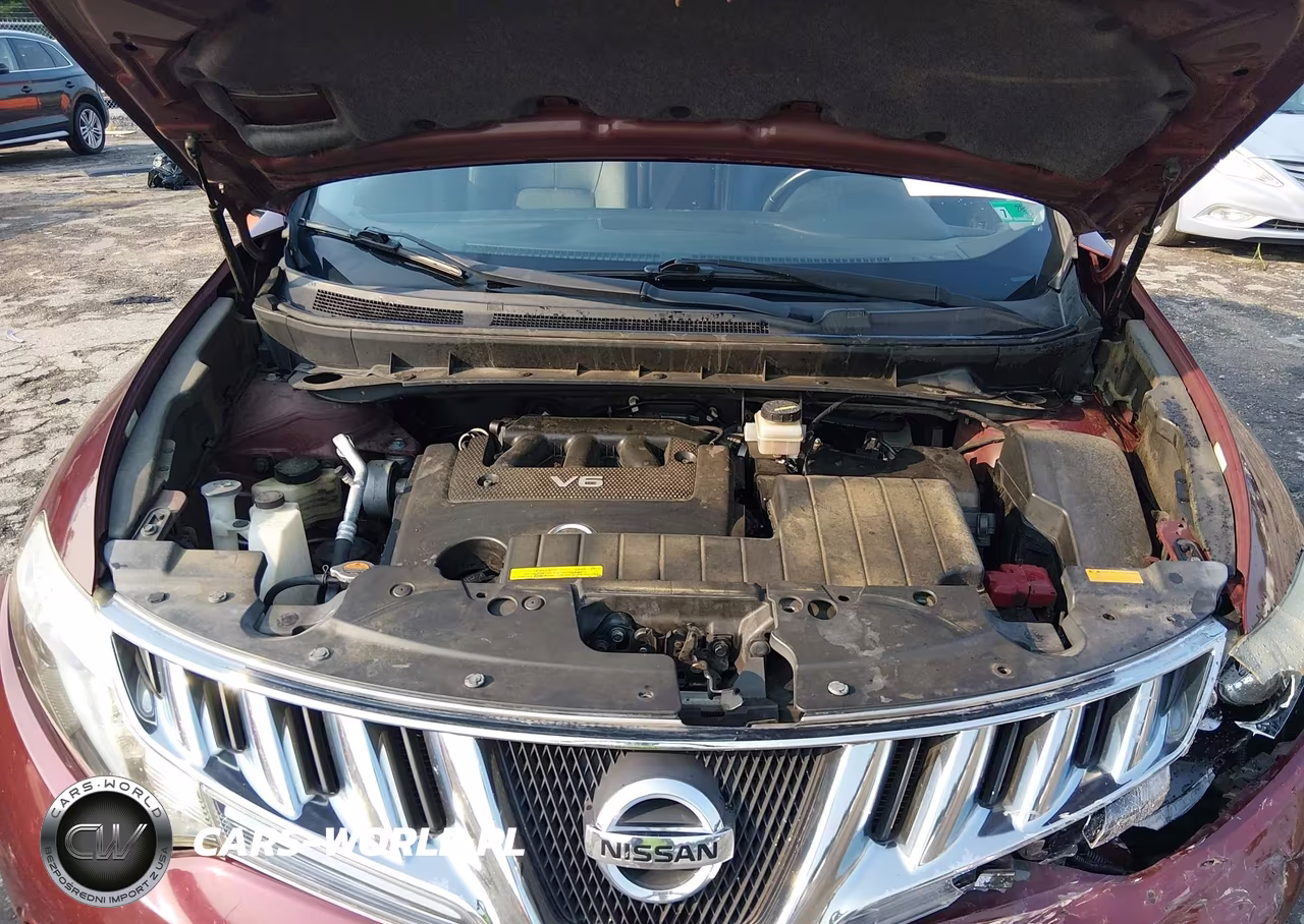 2009 Nissan Murano Le VIN:JN8AZ18W29W116565 - 10
