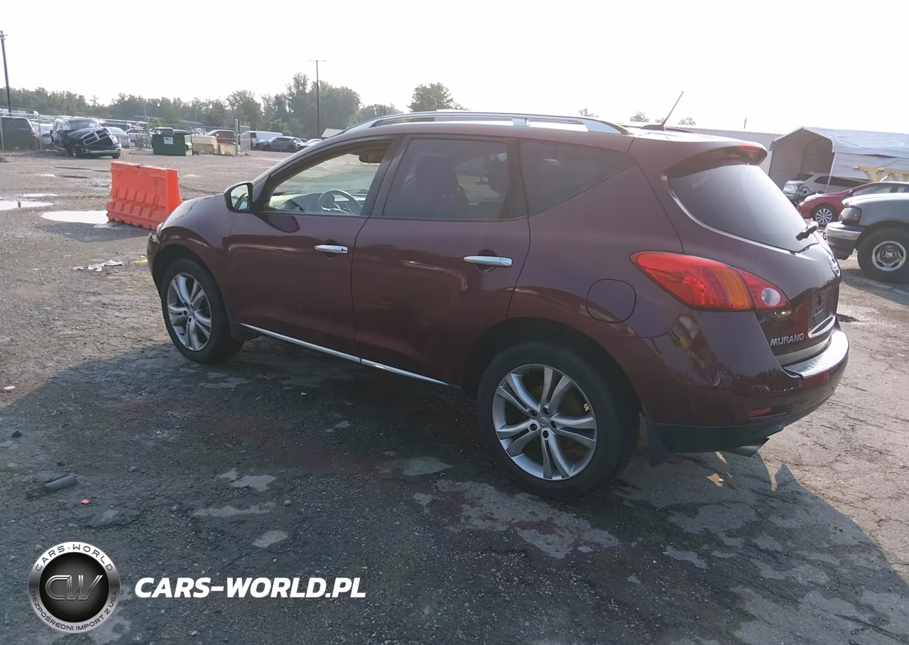 2009 Nissan Murano Le VIN:JN8AZ18W29W116565 - 3