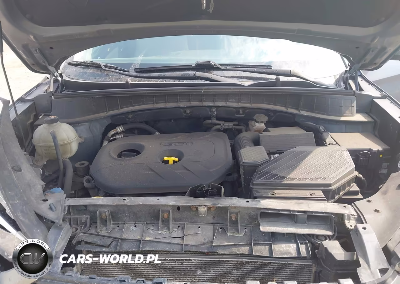 2016 Hyundai Tucson Se VIN:KM8J3CA49GU074014 - 10
