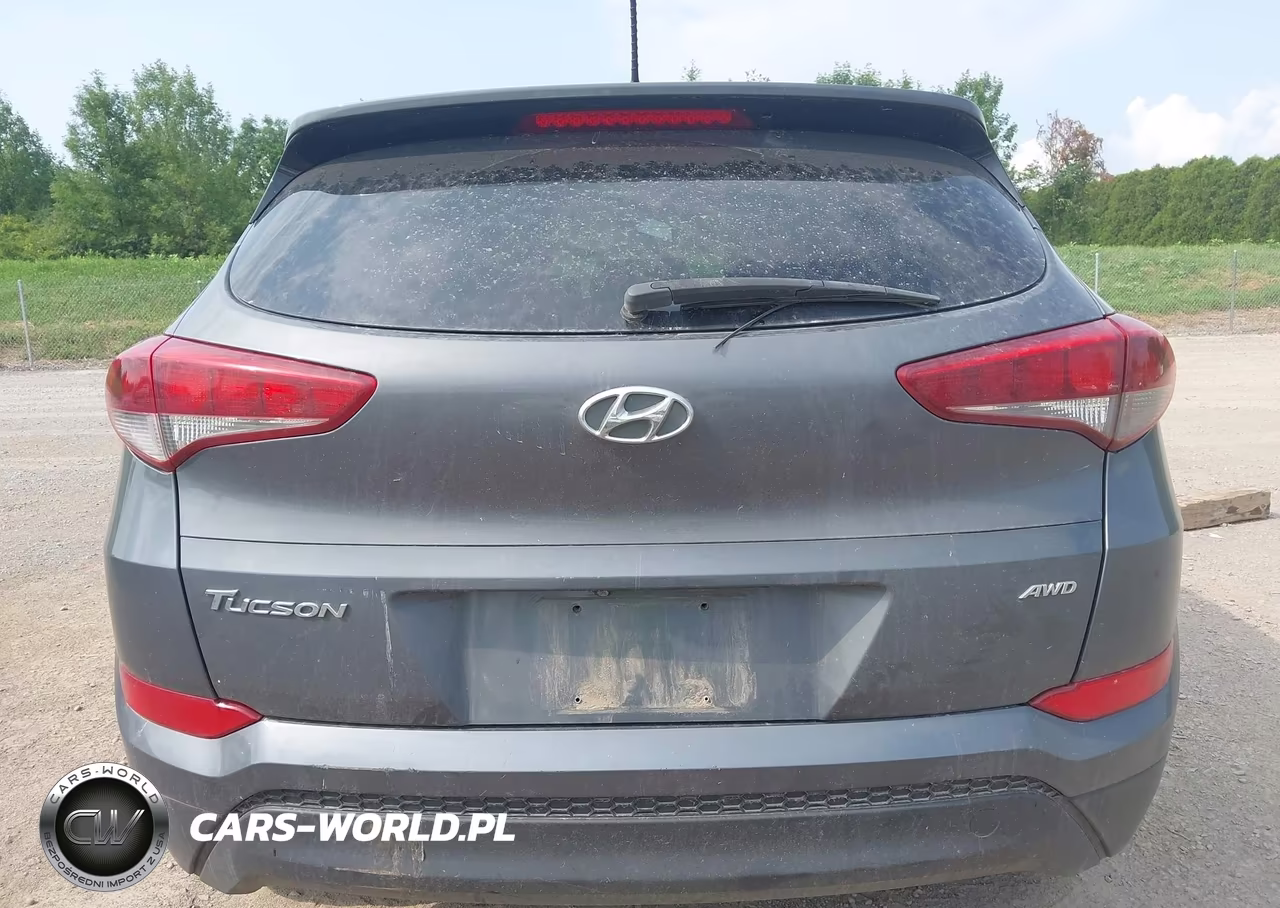 2016 Hyundai Tucson Se VIN:KM8J3CA49GU074014 - 17