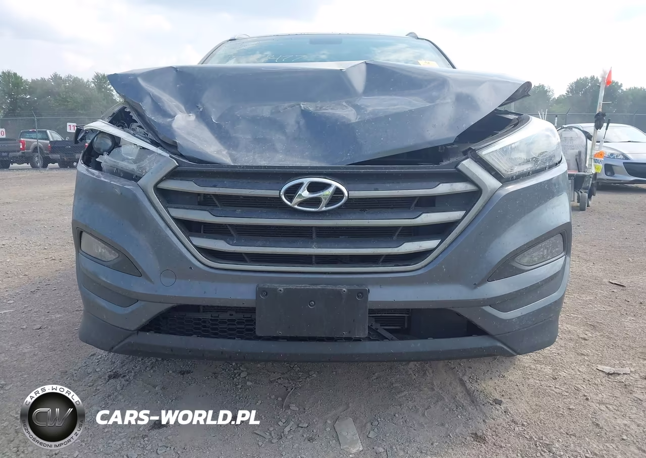 2016 Hyundai Tucson Se VIN:KM8J3CA49GU074014 - 6