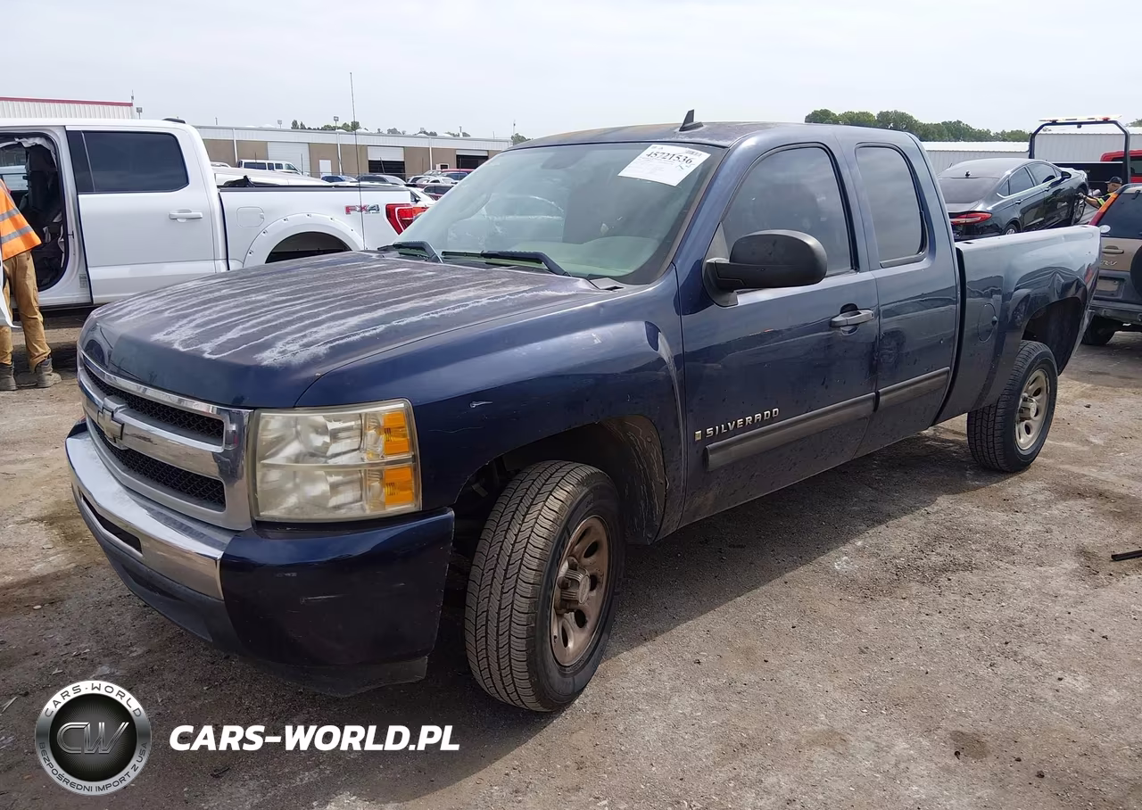 2009 Chevrolet Silverado 1500 Ls VIN:2GCEC19C391126550 - 2