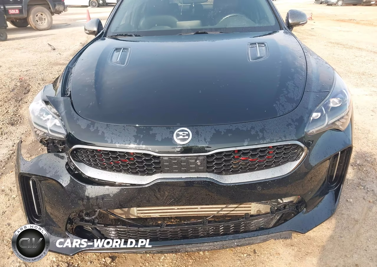 2020 Kia Stinger Gt2 VIN:KNAE55LC2L6081494 - 12