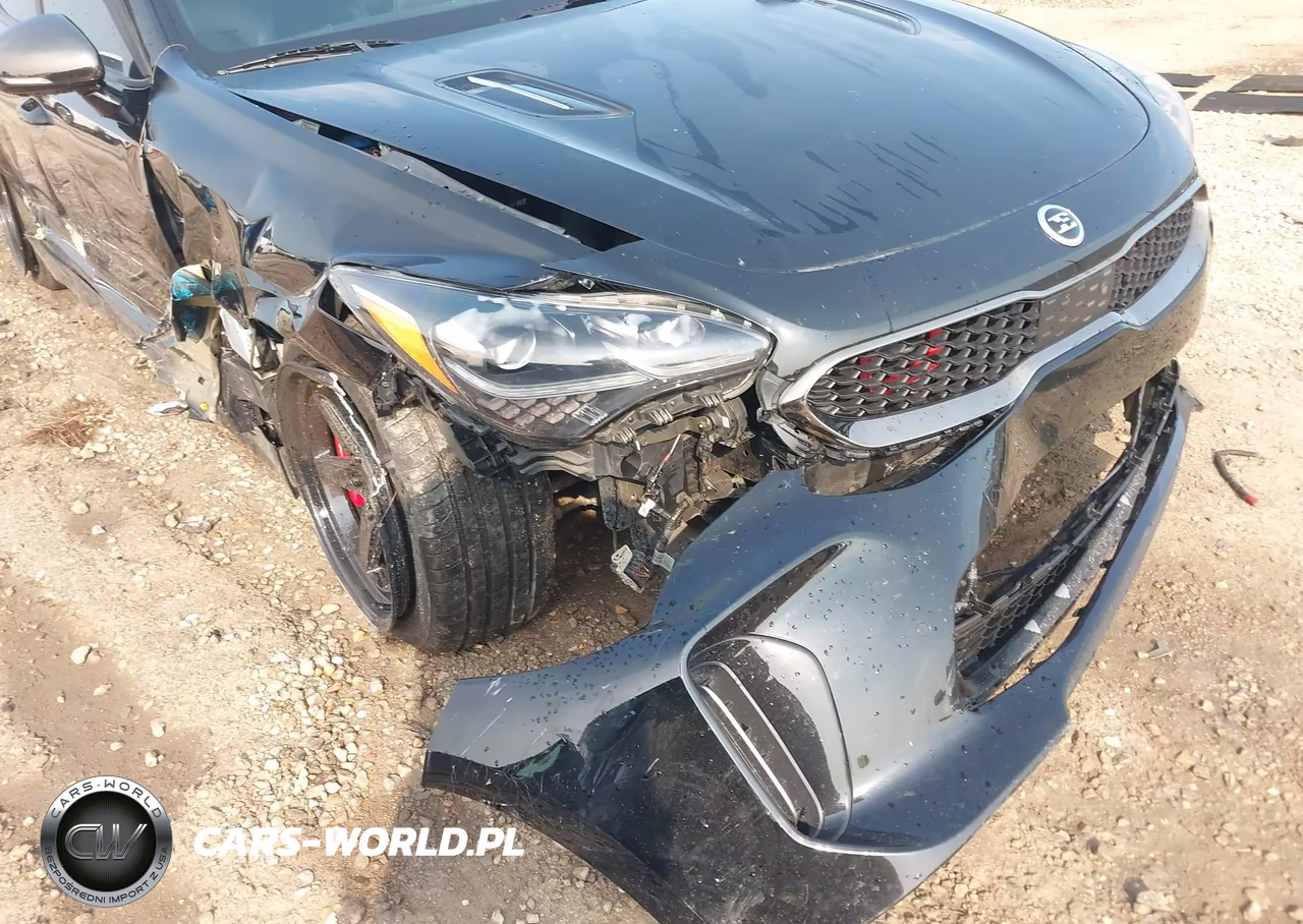 2020 Kia Stinger Gt2 VIN:KNAE55LC2L6081494 - 6