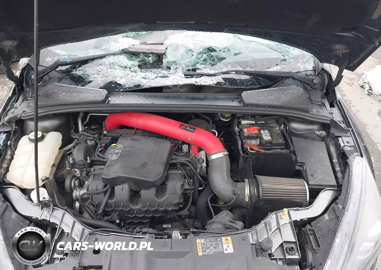 2015 Ford Focus St VIN:1FADP3L92FL251950 - 10