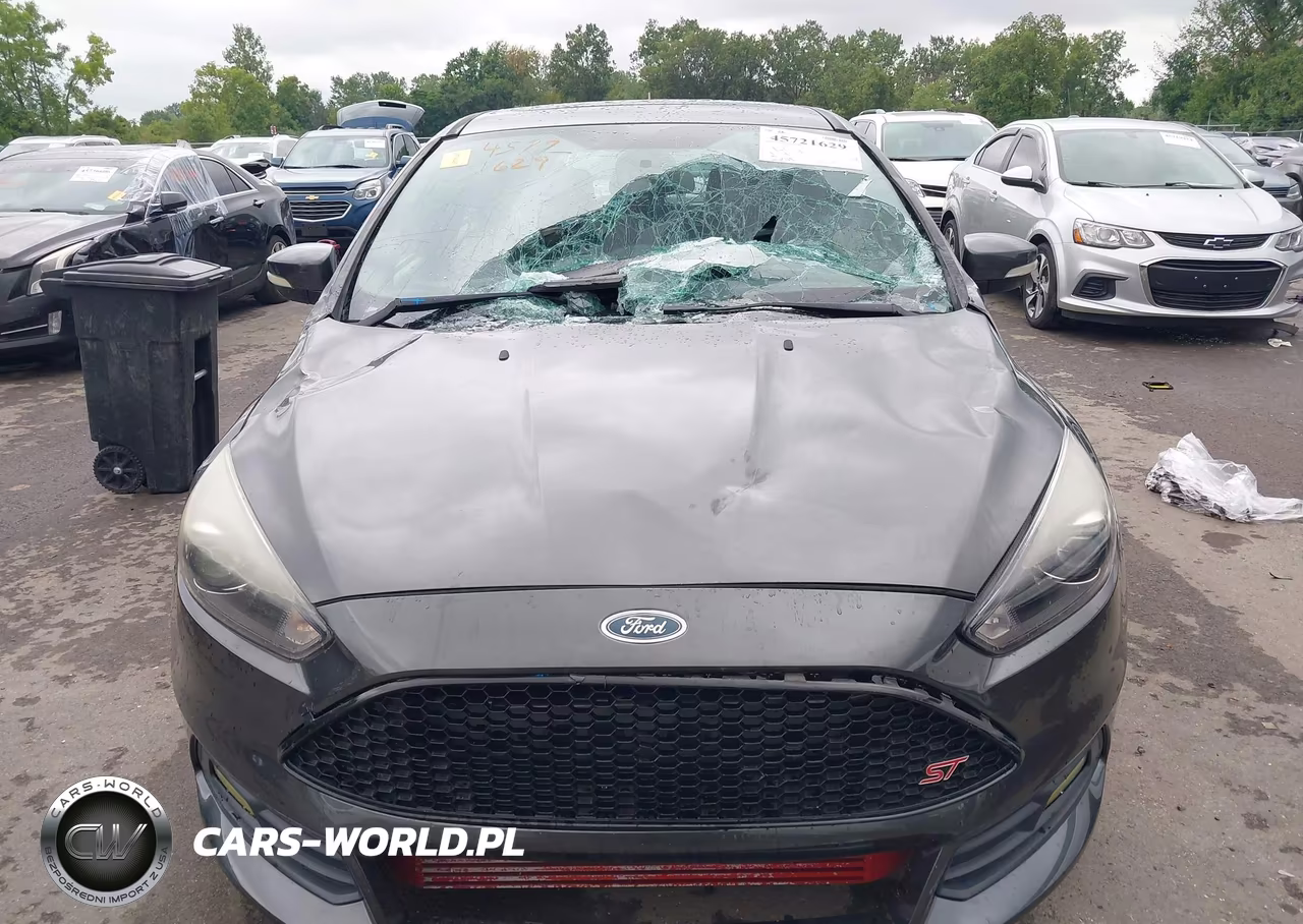 2015 Ford Focus St VIN:1FADP3L92FL251950 - 12