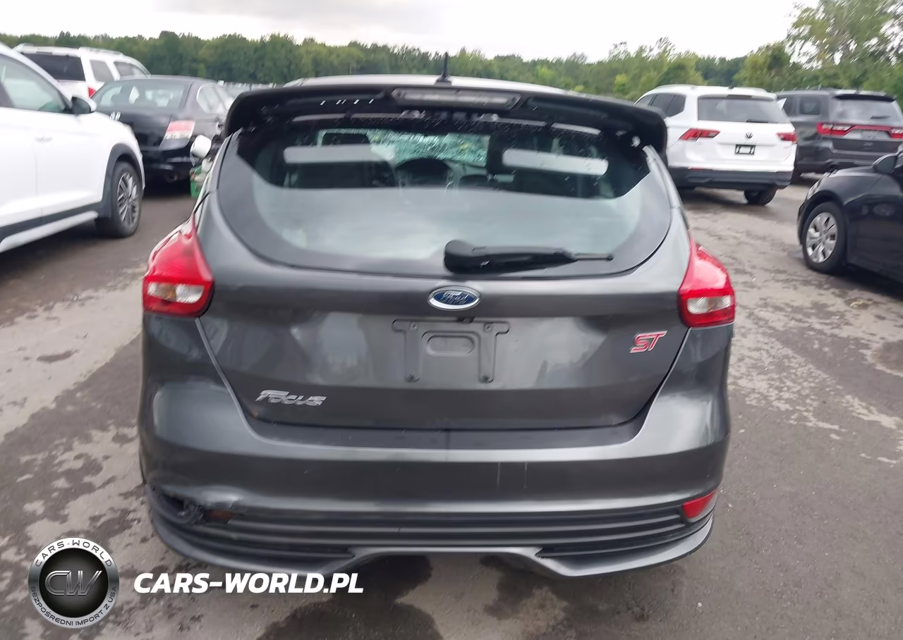 2015 Ford Focus St VIN:1FADP3L92FL251950 - 16