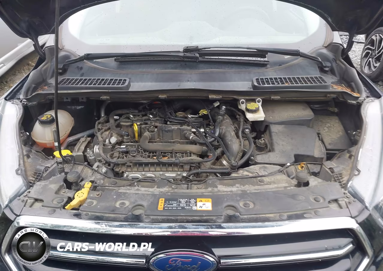2019 Ford Escape Se VIN:1FMCU9GD8KUC25093 - 10