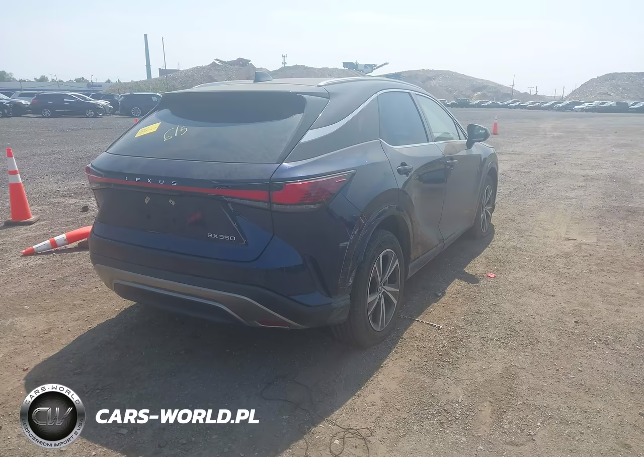 2023 Lexus Rx 350 Premium VIN:2T2BAMBAXPC017757 - 4