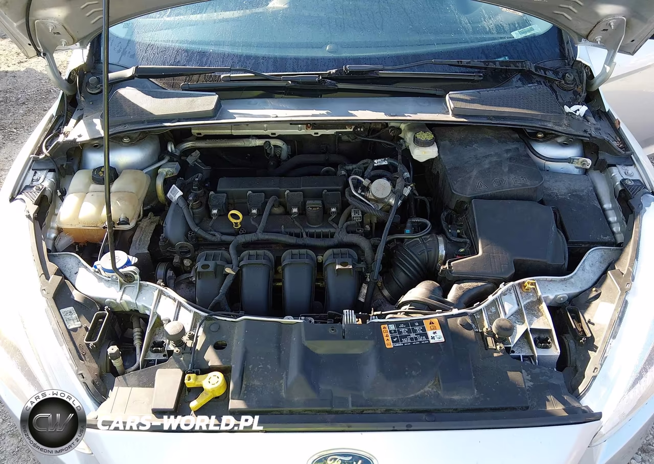 2017 Ford Focus Se VIN:1FADP3F27HL264291 - 10
