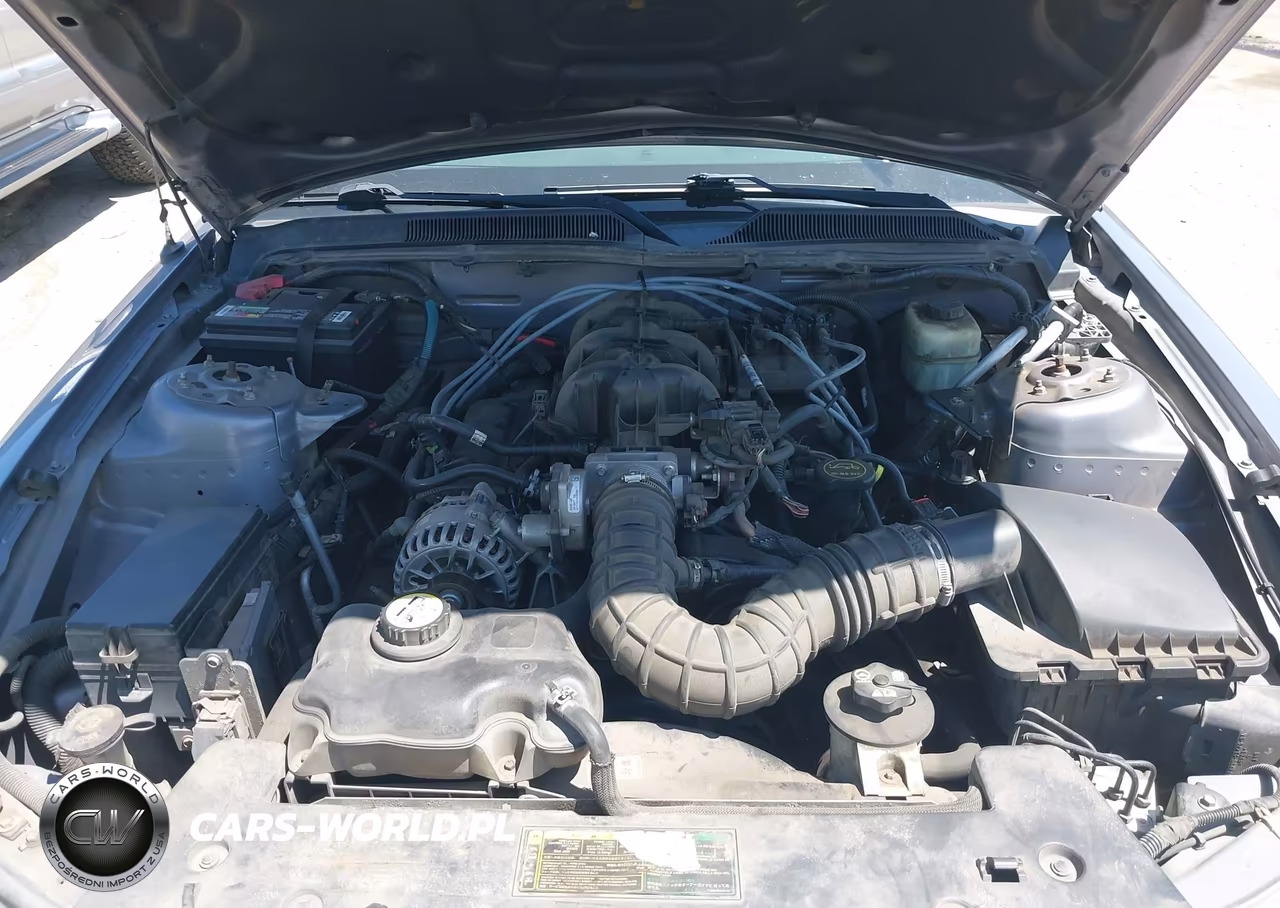 2006 Ford Mustang V6 VIN:1ZVFT84N765134647 - 10