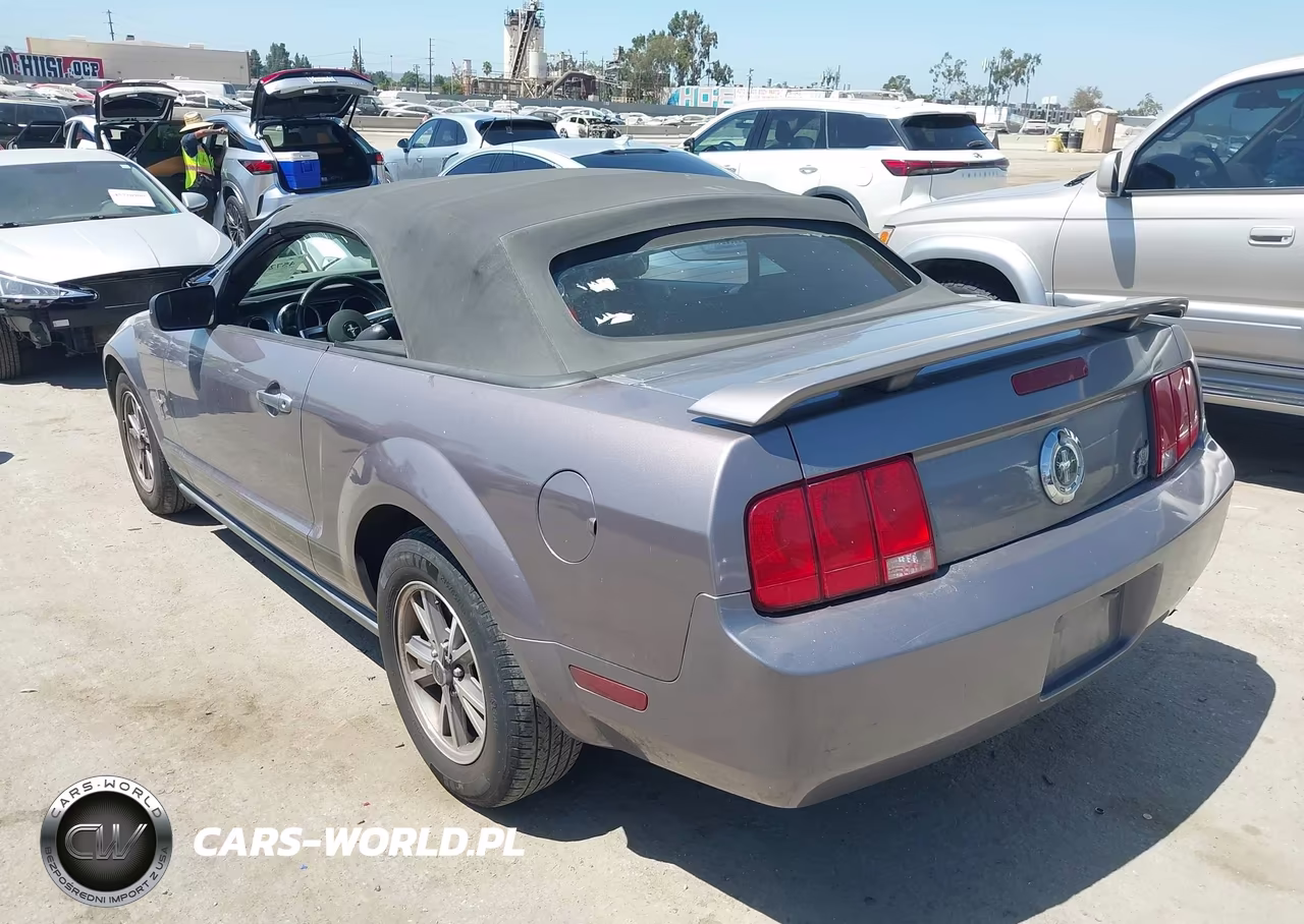 2006 Ford Mustang V6 VIN:1ZVFT84N765134647 - 3