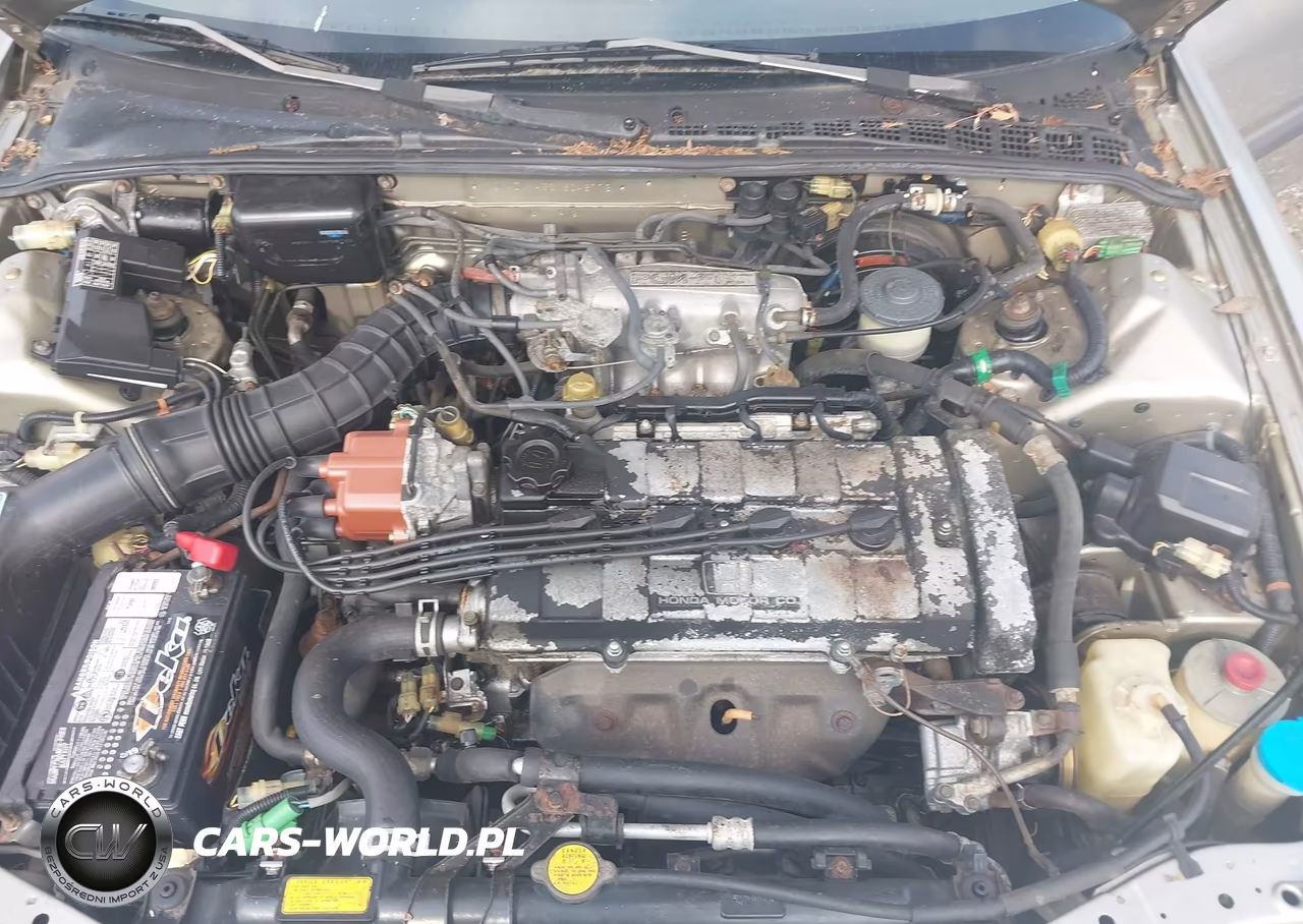 1991 Acura Integra Ls VIN:JH4DA9453MS048772 - 10