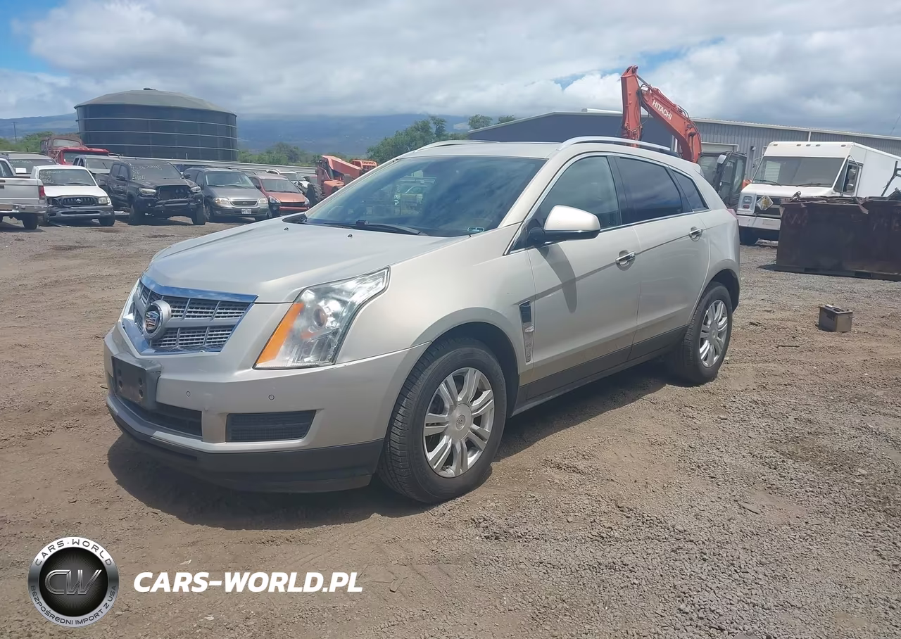 2010 Cadillac Srx Luxury Collection VIN:3GYFNAEY2AS606873 - 2