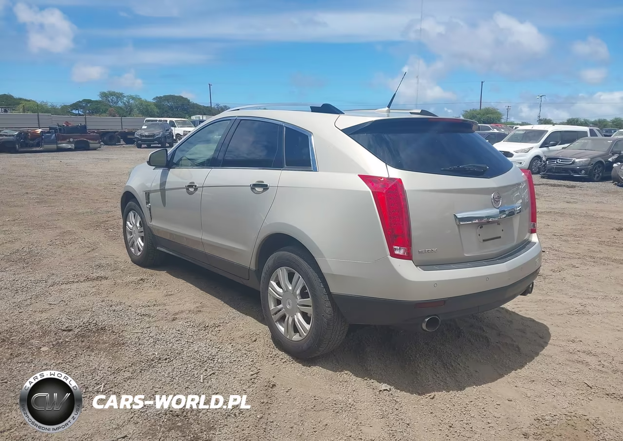 2010 Cadillac Srx Luxury Collection VIN:3GYFNAEY2AS606873 - 3