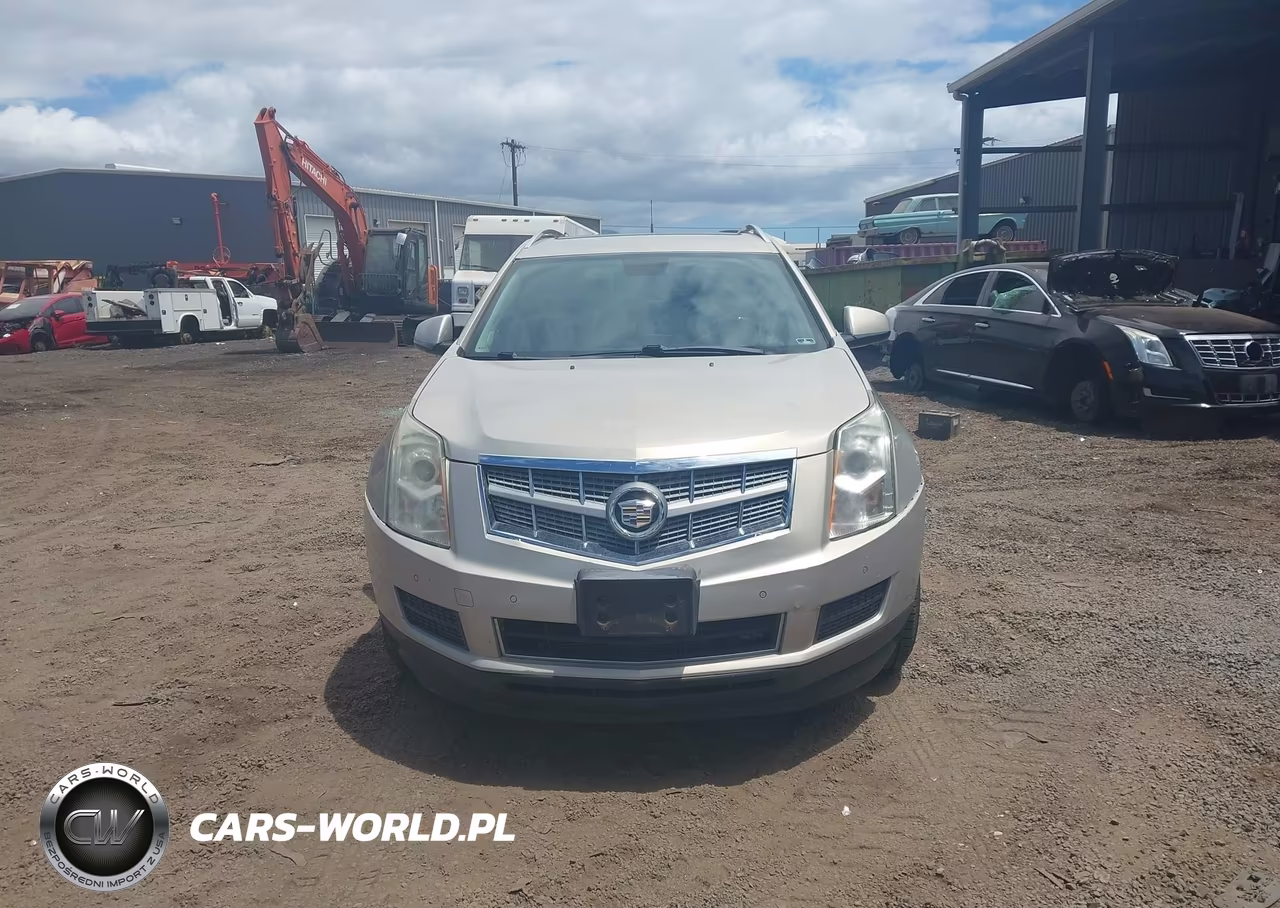 2010 Cadillac Srx Luxury Collection VIN:3GYFNAEY2AS606873 - 6