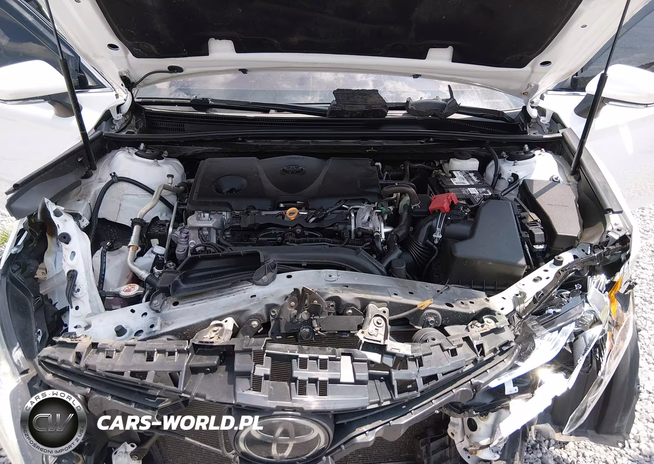 2018 Toyota Camry Xse VIN:4T1B61HK4JU654234 - 10