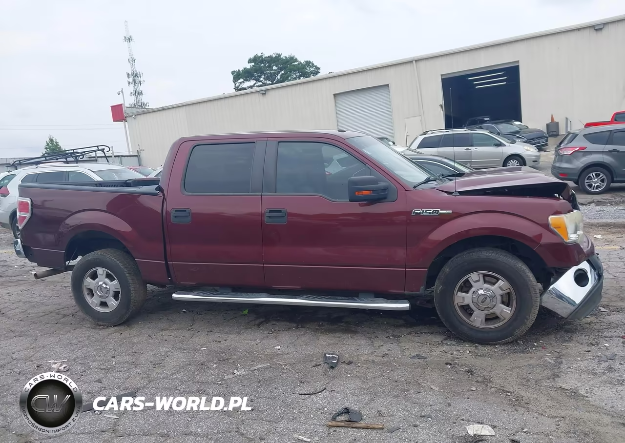 2010 Ford F-150 Fx2 Sport-Harley-Davidson-King Ranch-Lariat-Platinum-Xl-Xlt VIN:1FTFW1CV0AFD93485 - 13