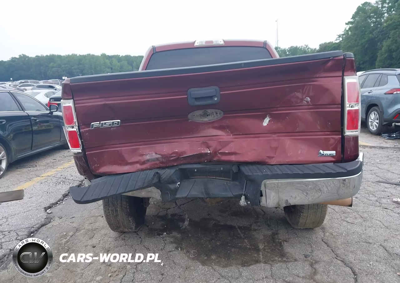 2010 Ford F-150 Fx2 Sport-Harley-Davidson-King Ranch-Lariat-Platinum-Xl-Xlt VIN:1FTFW1CV0AFD93485 - 16