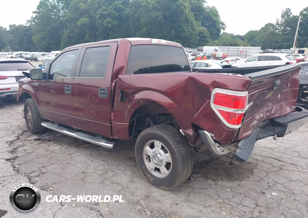 2010 Ford F-150 Fx2 Sport-Harley-Davidson-King Ranch-Lariat-Platinum-Xl-Xlt VIN:1FTFW1CV0AFD93485 - 3