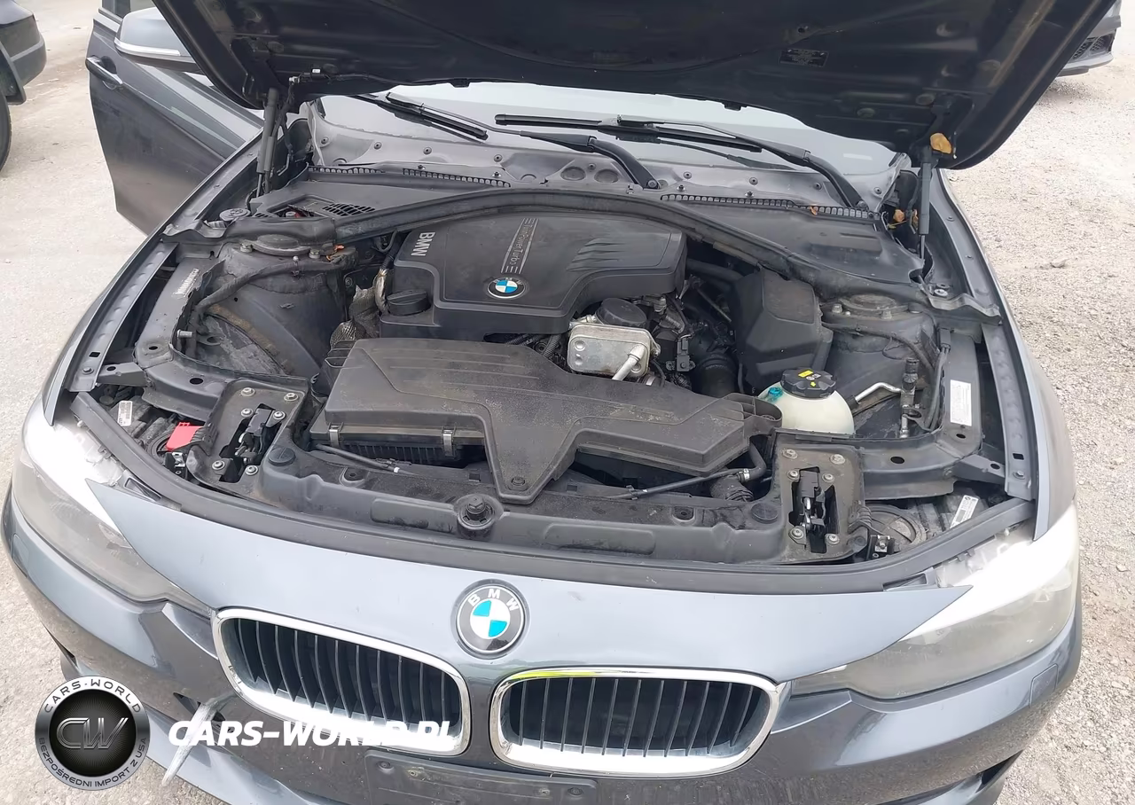 2015 BMW 320I xDrive VIN:WBA3C3G59FNS76533 - 10