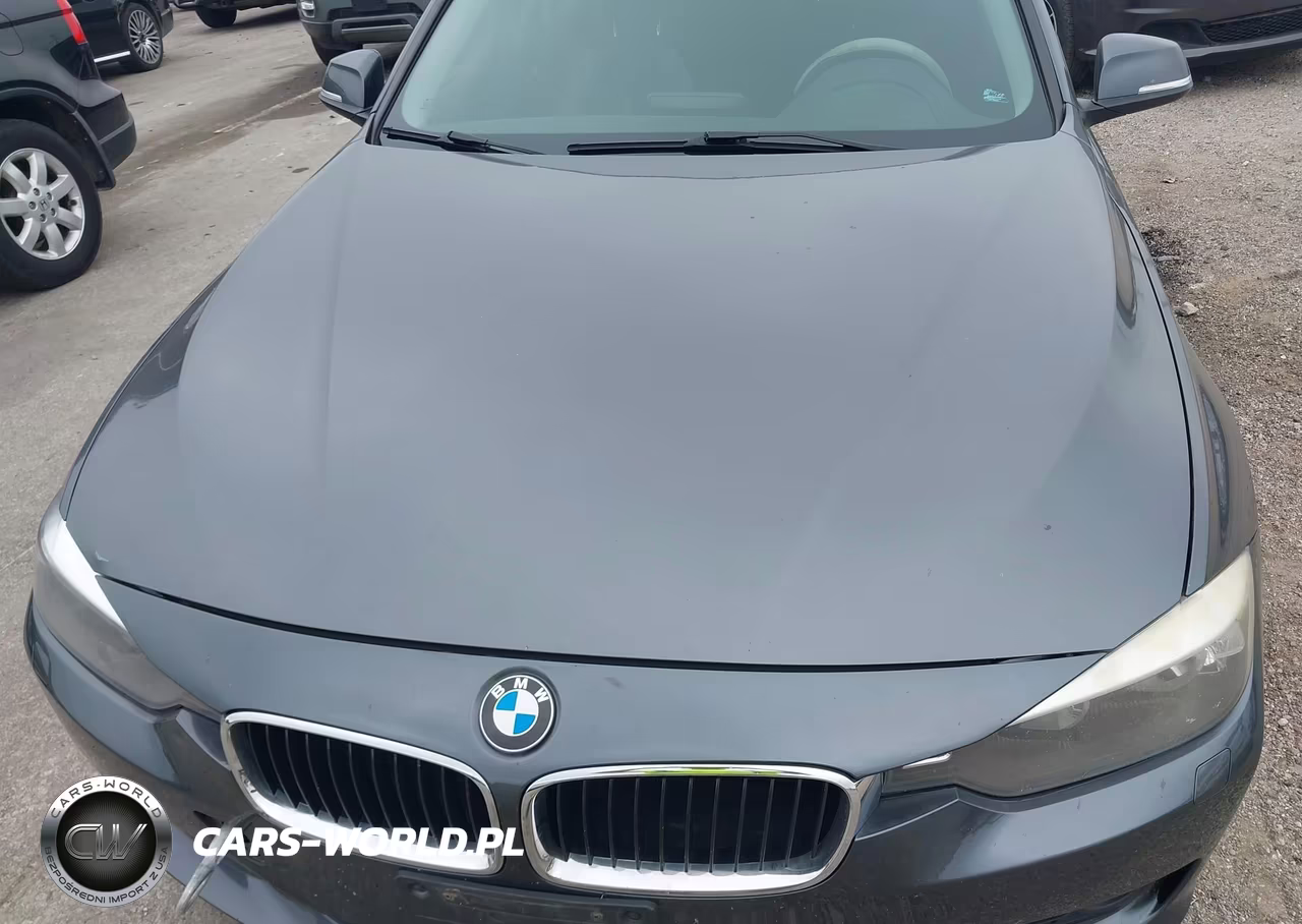 2015 BMW 320I xDrive VIN:WBA3C3G59FNS76533 - 6