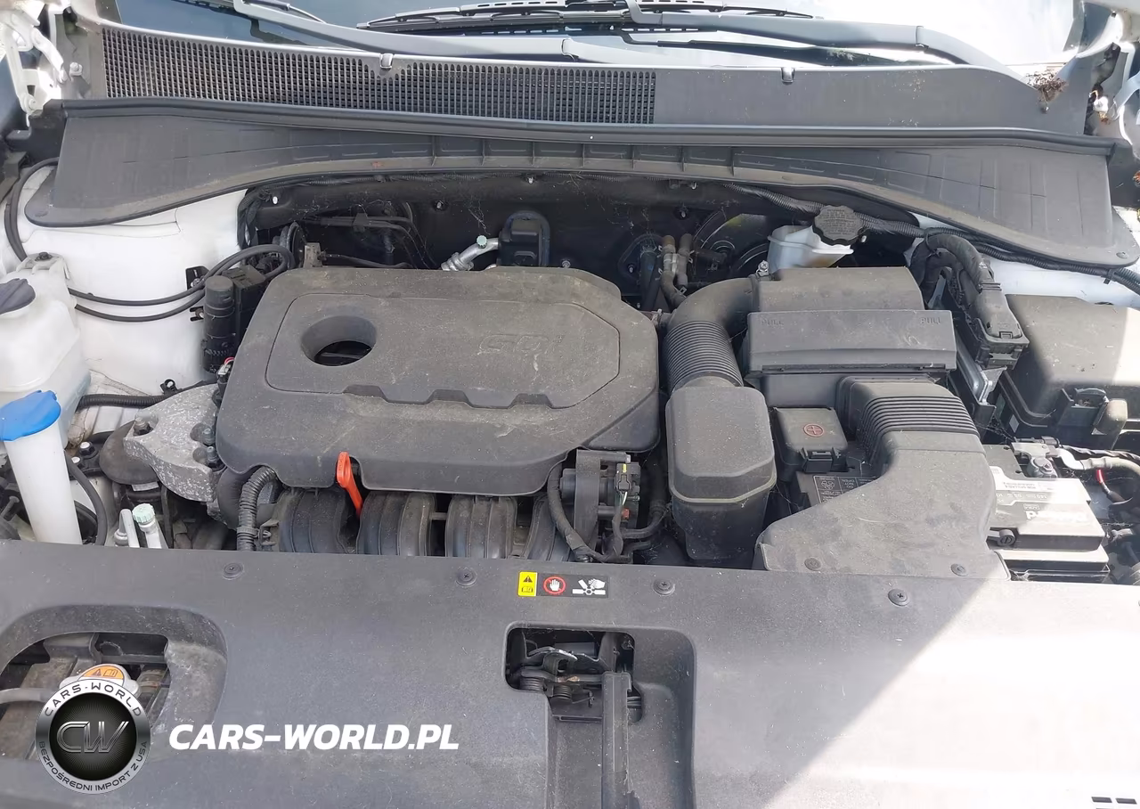 2016 Kia Sorento 2.4L Lx VIN:5XYPGDA3XGG081345 - 10
