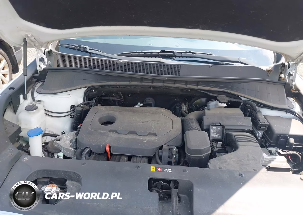 2016 Kia Sorento 2.4L Lx VIN:5XYPGDA3XGG081345 - 18
