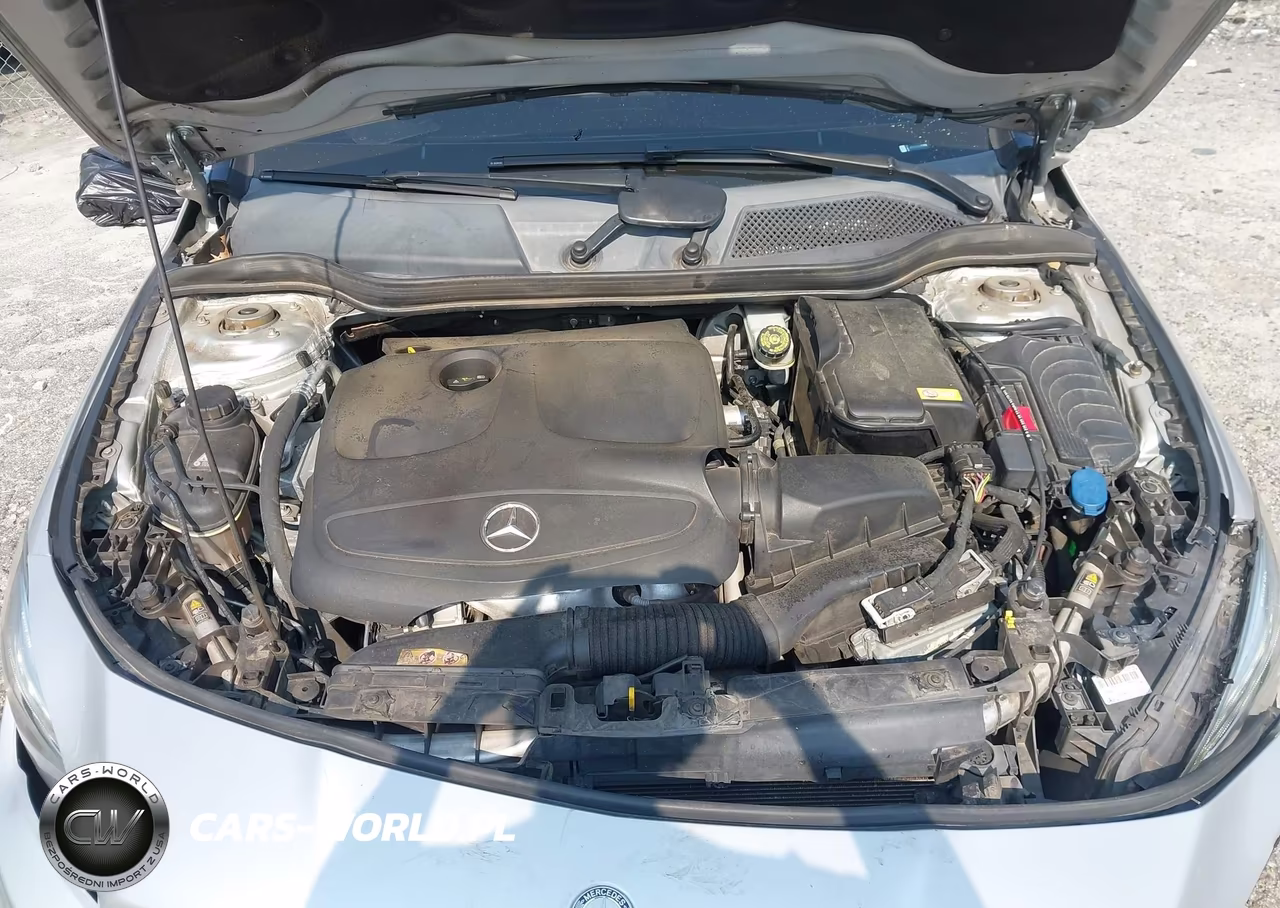 2016 Mercedes-Benz Cla 250 VIN:WDDSJ4EB1GN325203 - 10