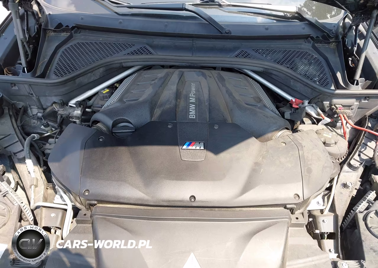 2016 BMW X6 M VIN:5YMKW8C51G0R43271 - 10