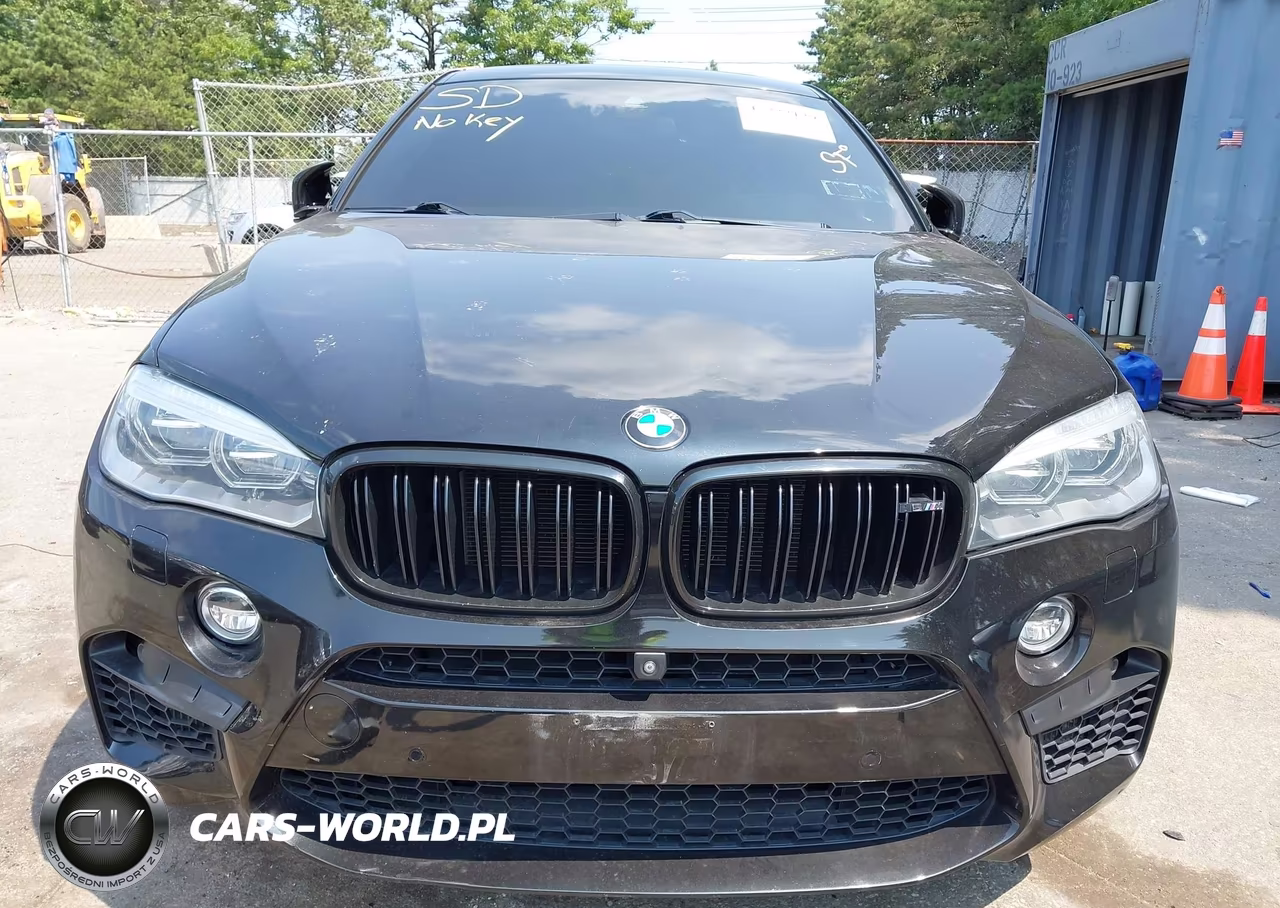 2016 BMW X6 M VIN:5YMKW8C51G0R43271 - 11