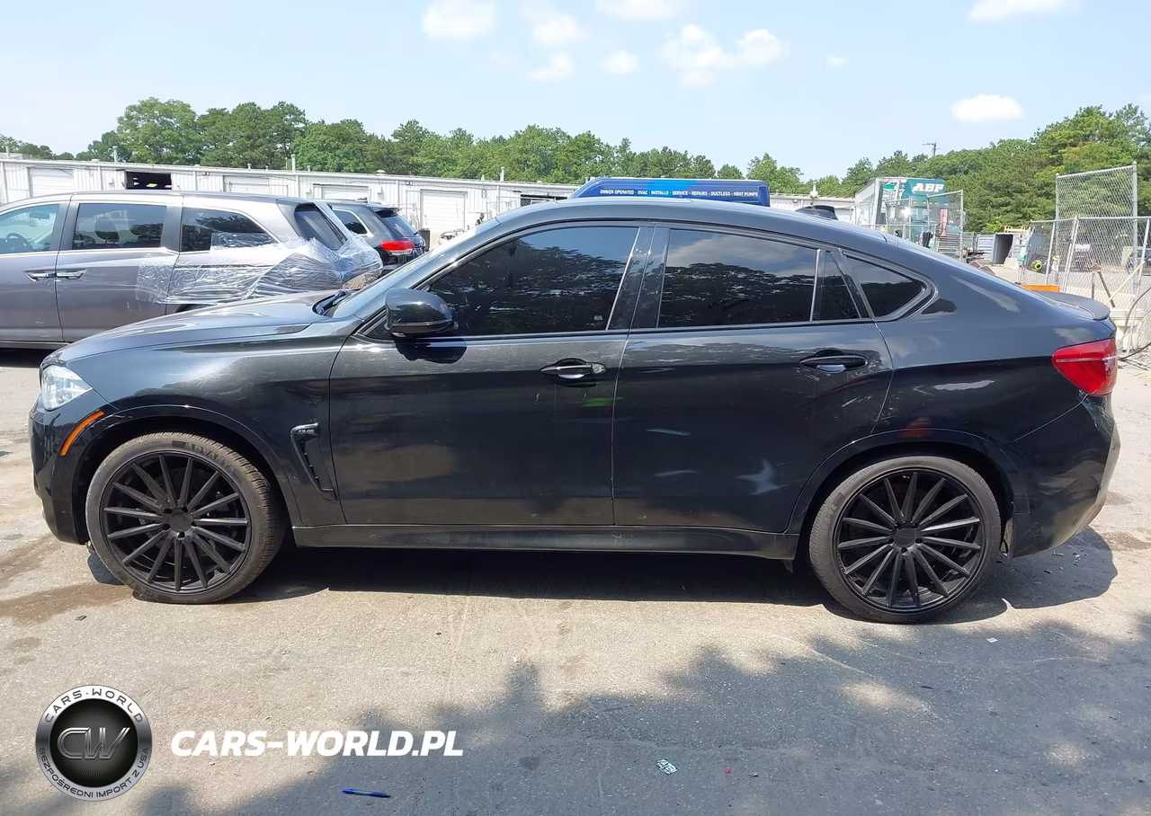 2016 BMW X6 M VIN:5YMKW8C51G0R43271 - 13