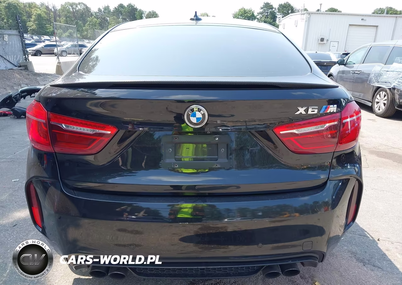 2016 BMW X6 M VIN:5YMKW8C51G0R43271 - 15