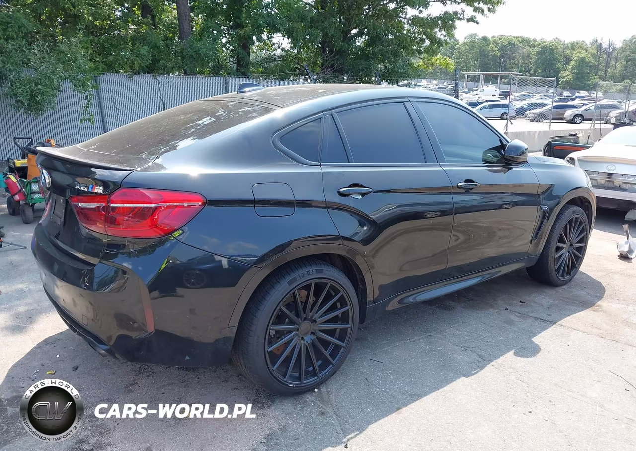 2016 BMW X6 M VIN:5YMKW8C51G0R43271 - 4