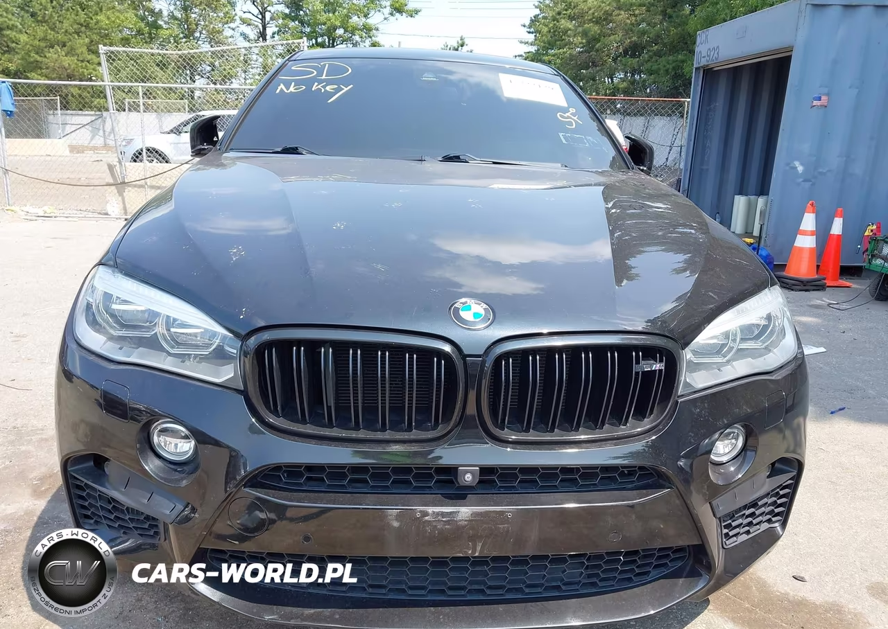 2016 BMW X6 M VIN:5YMKW8C51G0R43271 - 6