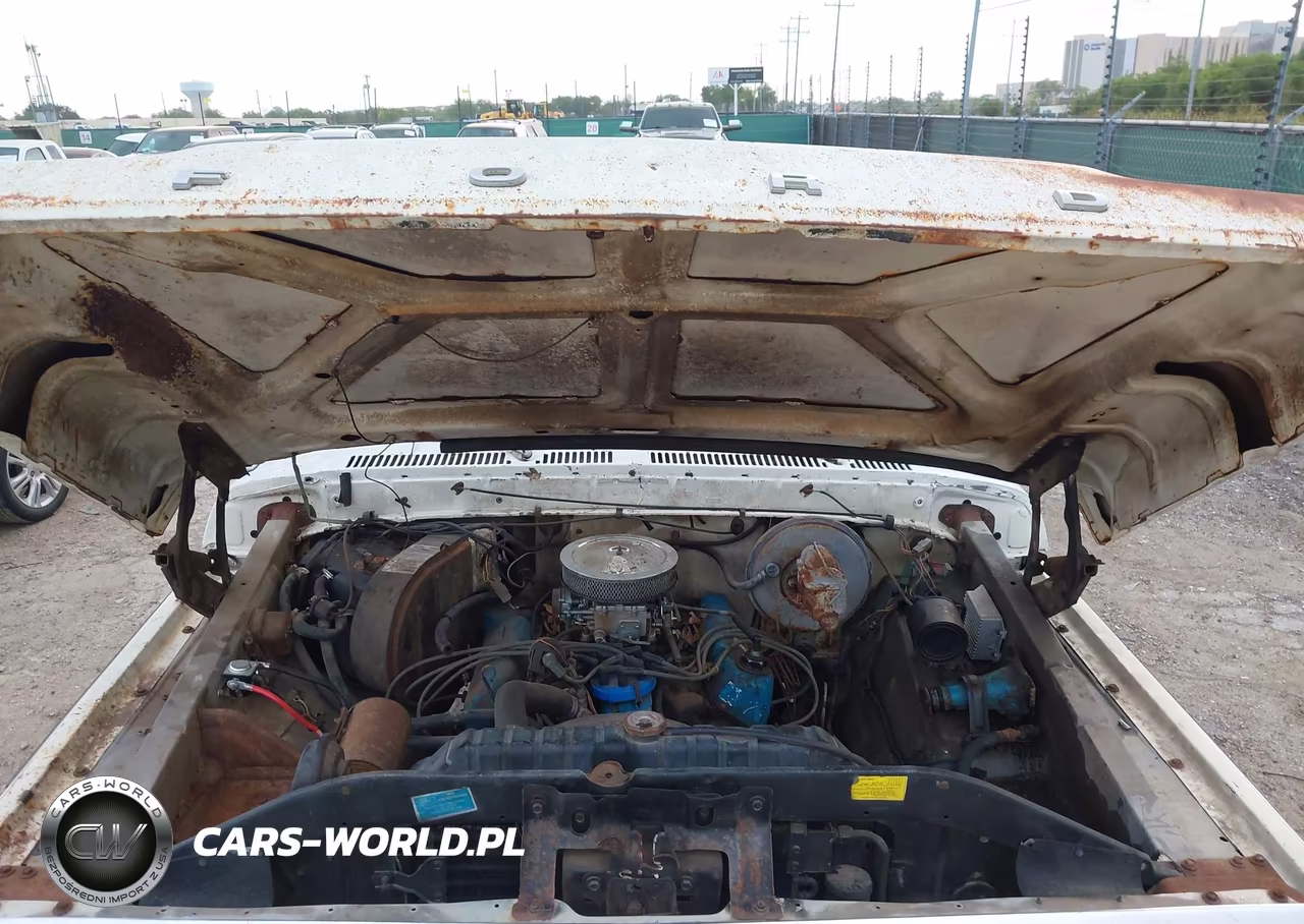 1978 Ford F-150 VIN:F15HKBE1466 - 10