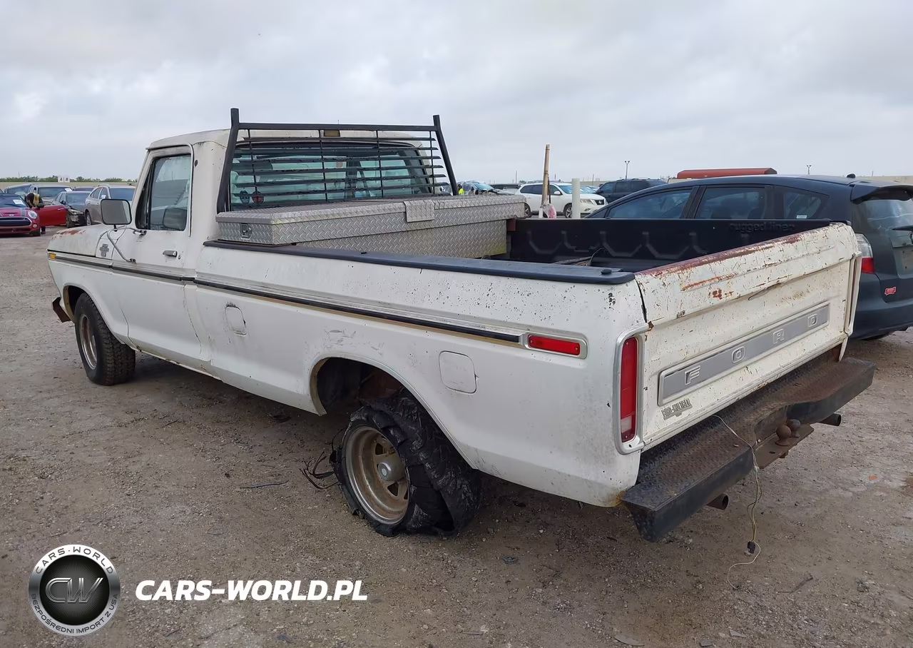 1978 Ford F-150 VIN:F15HKBE1466 - 3