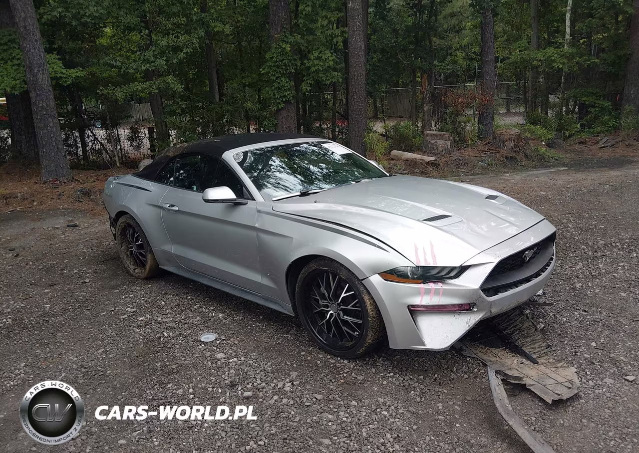 2019 Ford Mustang Ecoboost Premium – zdjęcie 1 z 17