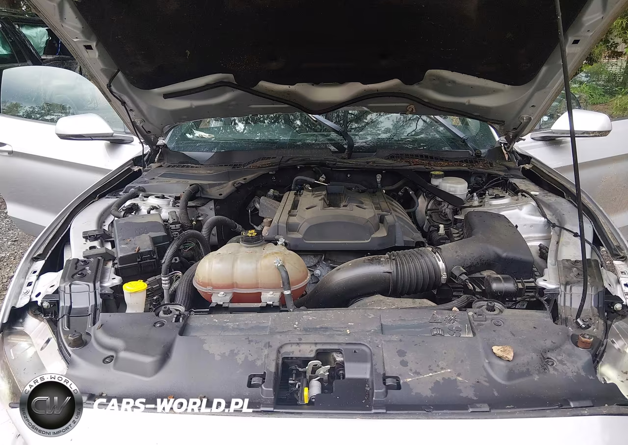 2019 Ford Mustang Ecoboost Premium VIN:1FATP8UH3K5159713 - 10
