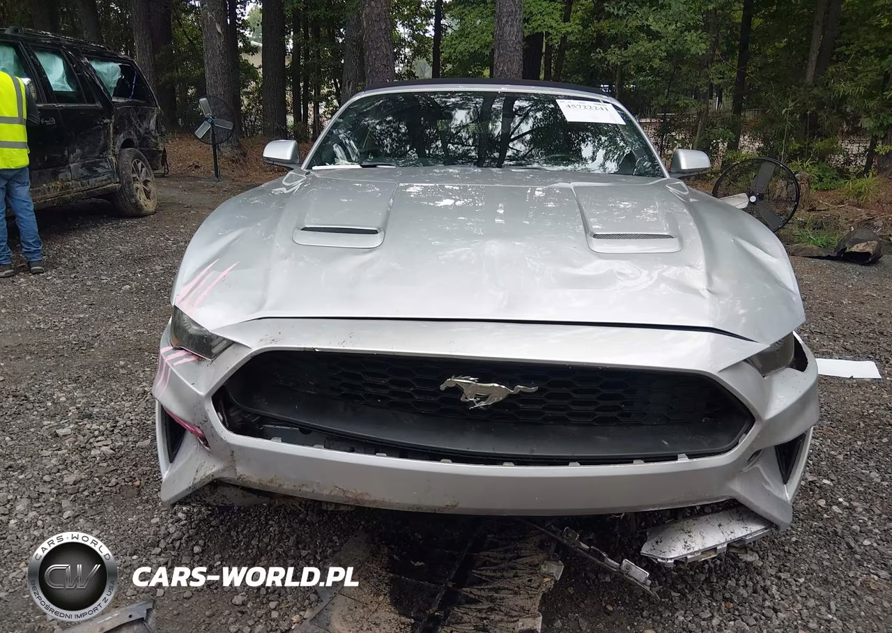 2019 Ford Mustang Ecoboost Premium VIN:1FATP8UH3K5159713 - 13