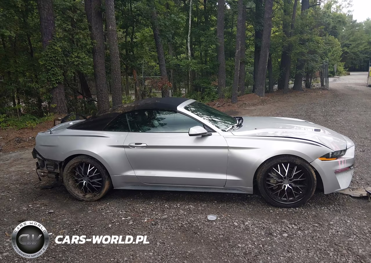 2019 Ford Mustang Ecoboost Premium VIN:1FATP8UH3K5159713 - 14